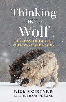 THINKING LIKE A WOLF: LESSONS FROM THE YELLOWSTONE PACKS - MCINTYRE. RICK